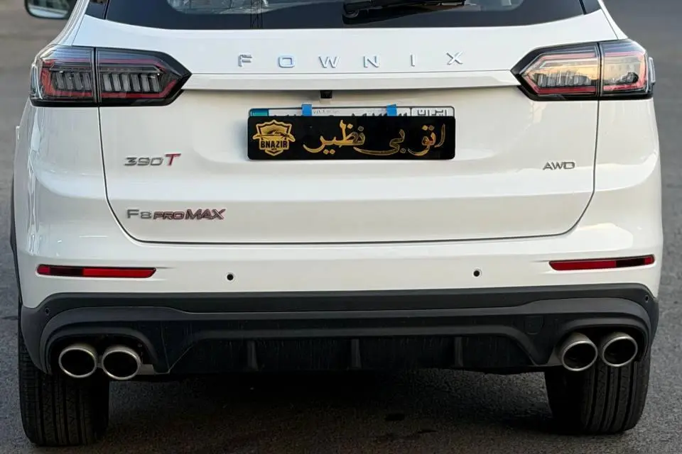 فونیکس،  تیگو 8 پرو مکس (F8)
