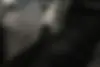اشکودا،  سوپرب