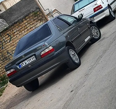 پژو، پارس