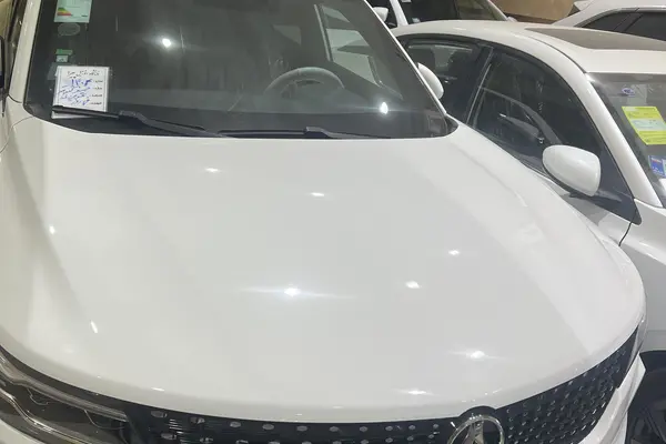 دیگنیتی  پرایم