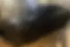 کی ام سی، J7