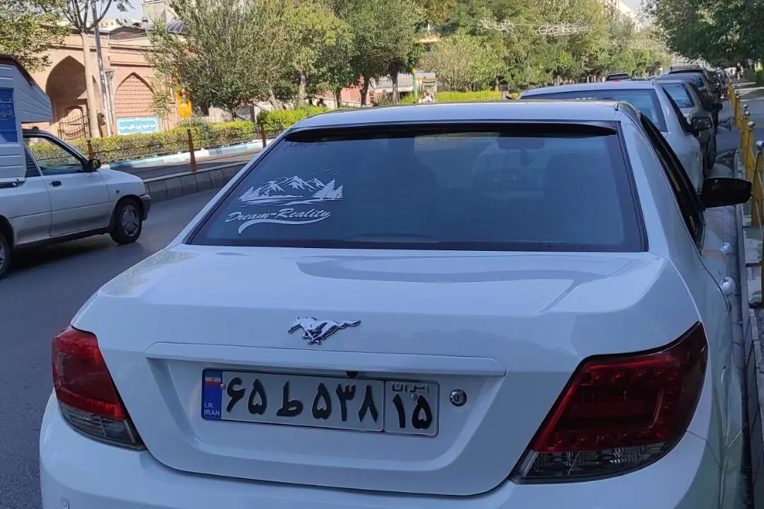 دنا،  معمولی