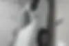 دنا،  پلاس EF7