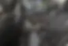 کیا،  سراتو (مونتاژ)