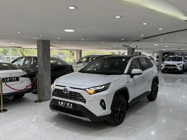 تویوتا، راوفور هیبرید