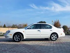 نیسان، ماکسیما