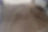 فاو،  ون سیبا