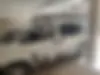 فاو، ون سیبا