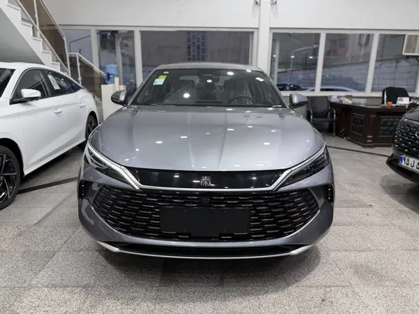 بی وای دی، چین L