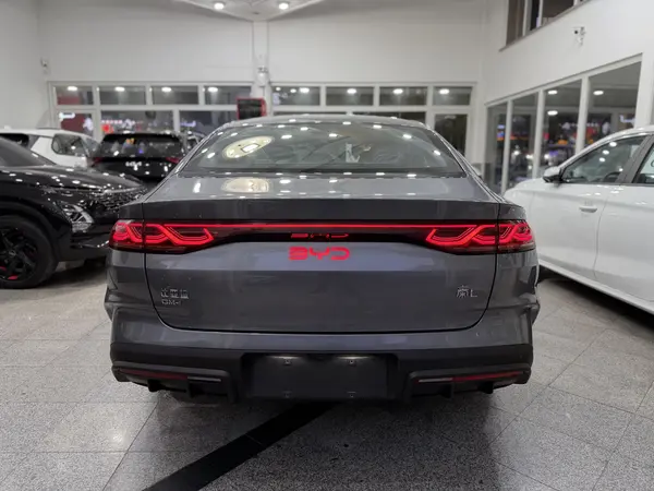 بی وای دی، چین L