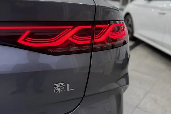 بی وای دی، چین L