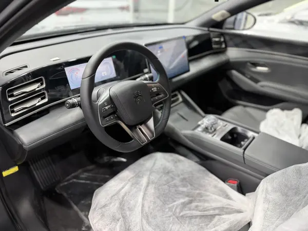 بی وای دی، چین L