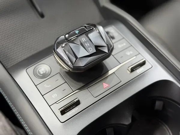 بی وای دی، چین L