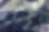 لاماری  ایما