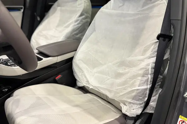 بی وای دی، سانگ پلاس DMi