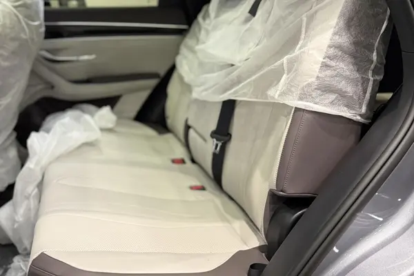 بی وای دی، سانگ پلاس DMi