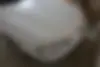 پژو، پارس
