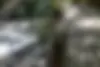 فونیکس  FX