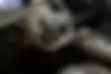 چانگان  CS 55 پلاس