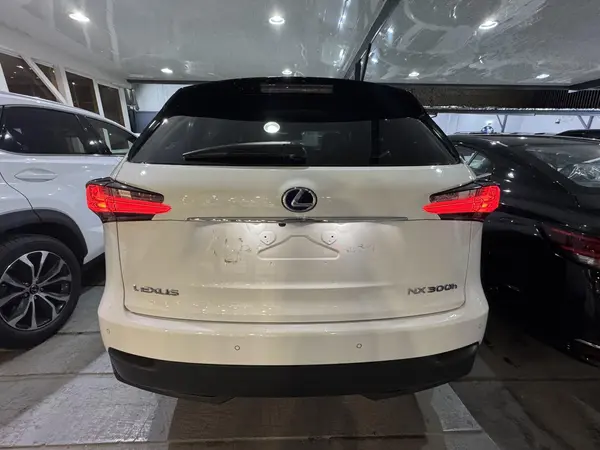 لکسوس، NX هیبرید