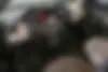 رنو،  داستر