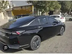 دانگ فنگ، شاین مکس