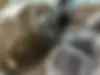 ب ام و  X4