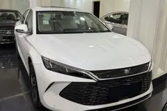 بی وای دی، چین L