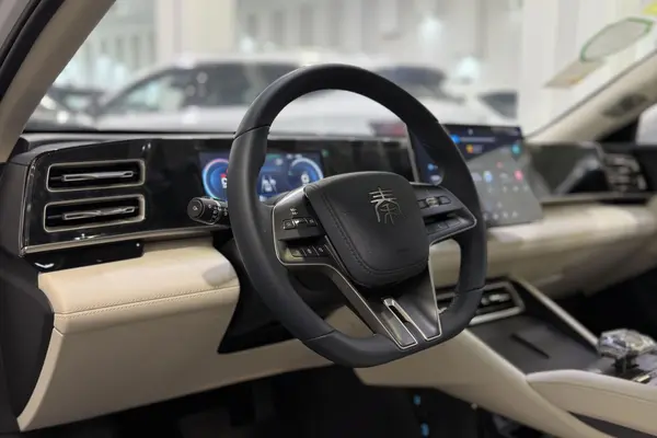 بی وای دی، چین L