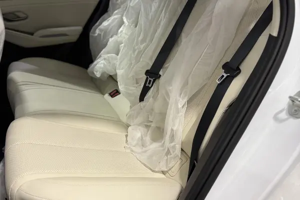 بی وای دی، چین L