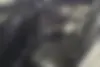 کیا  سراتو (مونتاژ)