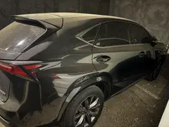 لکسوس، NX