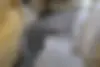 لکسوس  RX