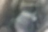 کیا  سراتو (مونتاژ)