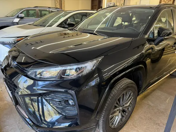 تویوتا، وایلدلندر