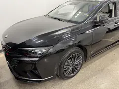 دانگ فنگ، شاین مکس