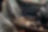 لاماری  ایما