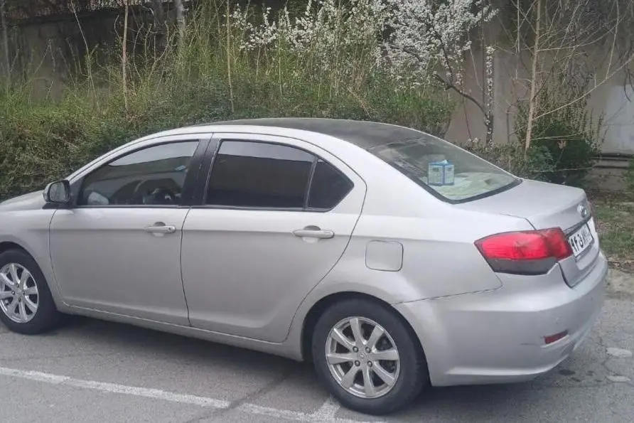 گریت وال  C30