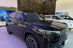 لوکانو، L8