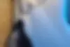 رنو، پارس تندر