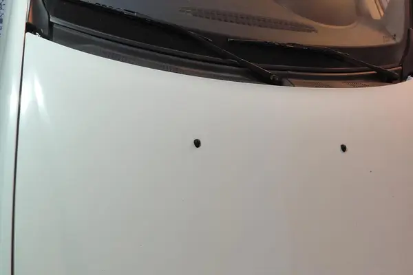 رنو  پارس تندر