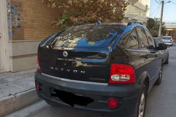 سانگ یانگ، اکتیون