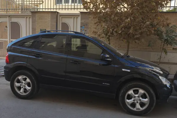 سانگ یانگ، اکتیون