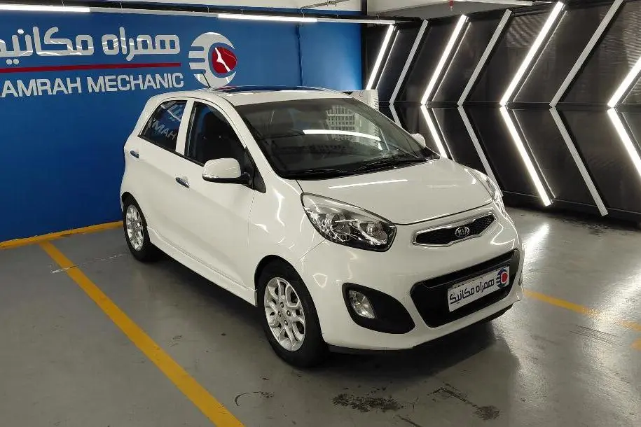 کیا،  پیکانتو