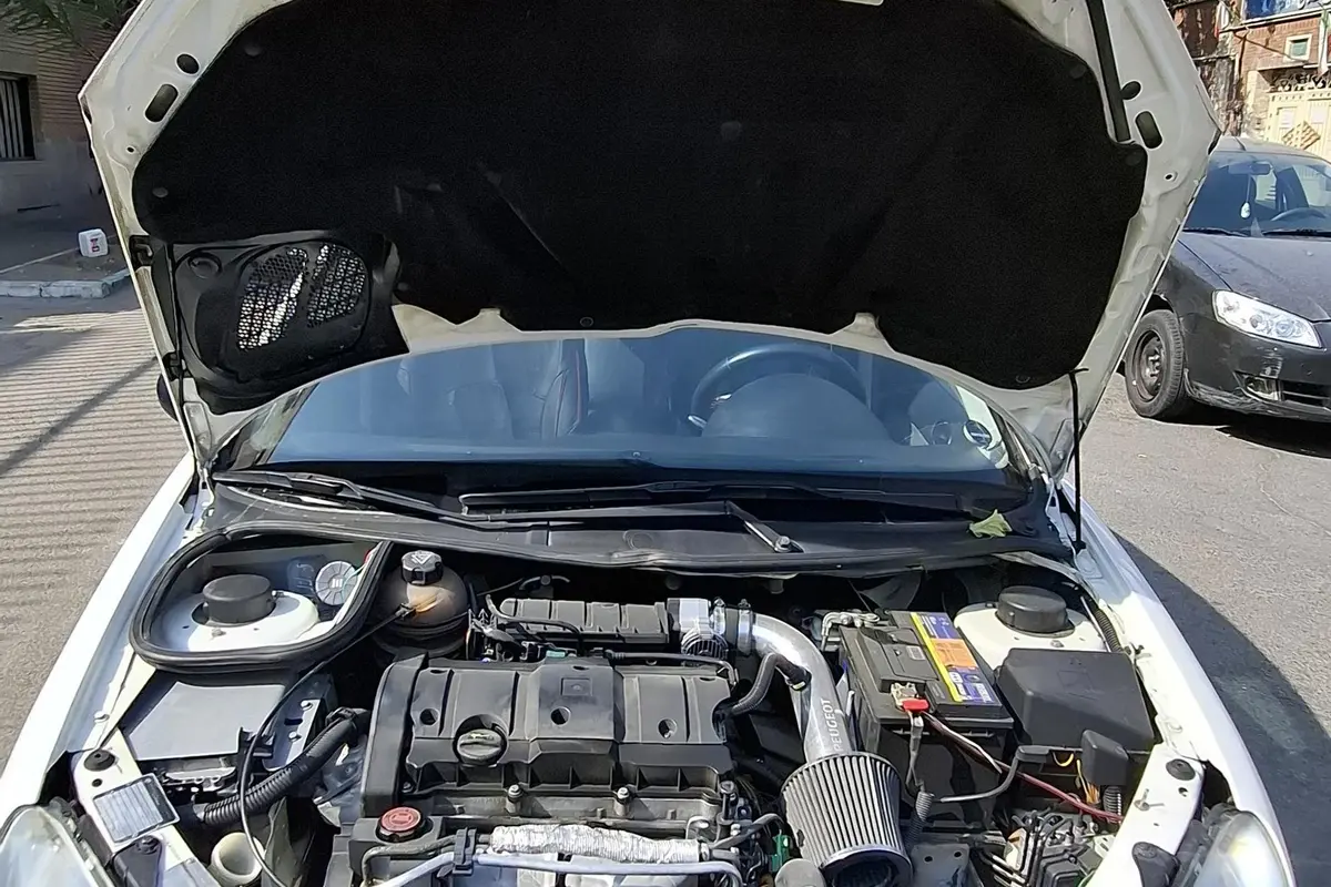 پژو،  206 SD