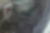 رنو  پارس تندر