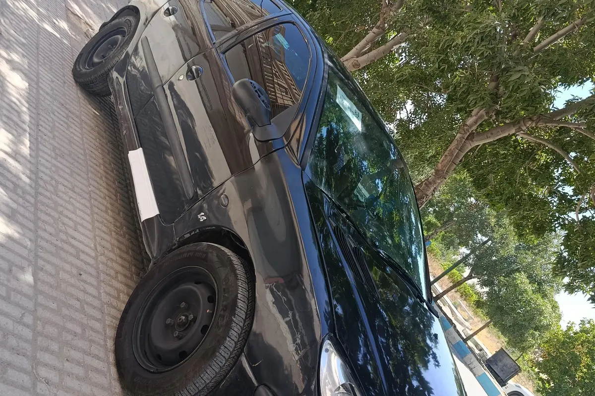 پژو،  206