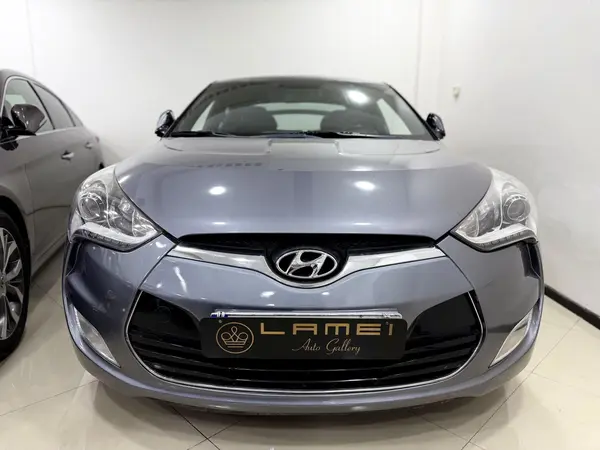 هیوندای، ولستر