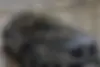 رنو، تالیسمان