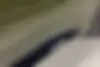 اوتار  11EV